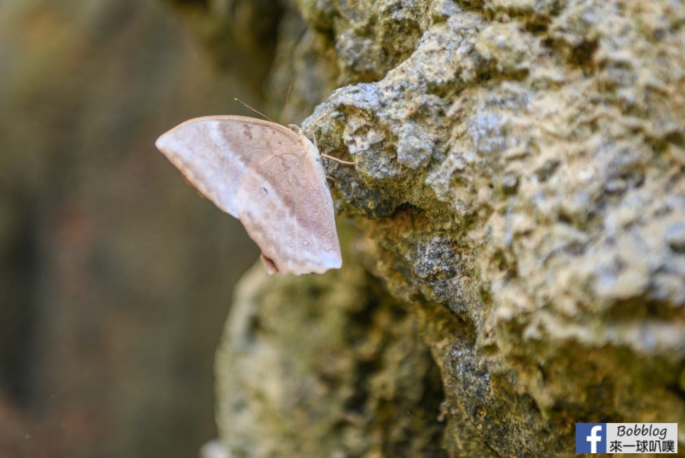 liuqiu-Beauty-Cave-14