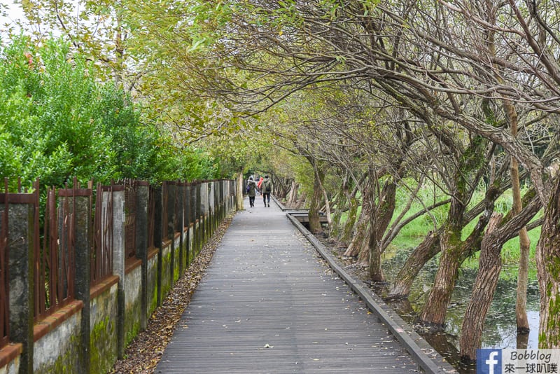 Luodong-Forestry-Culture-Garden-16