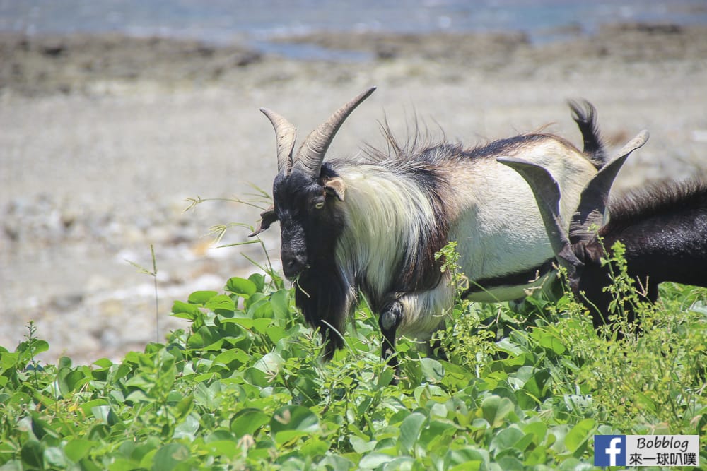 Lanyu-secret-place-20