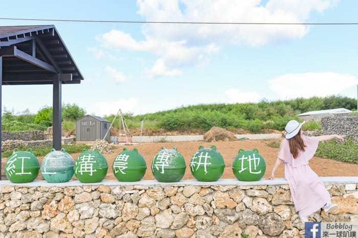 澎湖湖西鄉｜南寮古厝網美彩色浮球、咕咾石牆老宅、鄉村半日遊