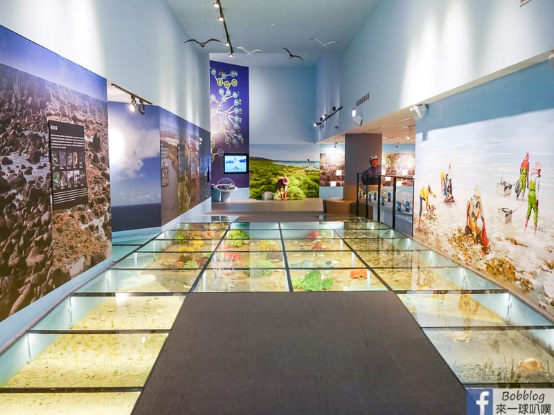 penghu-ocean-resources-museum-18