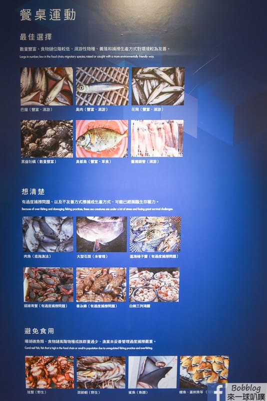 penghu-ocean-resources-museum-9