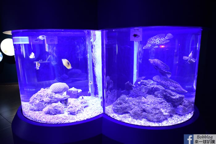 penghu-aquarium-18