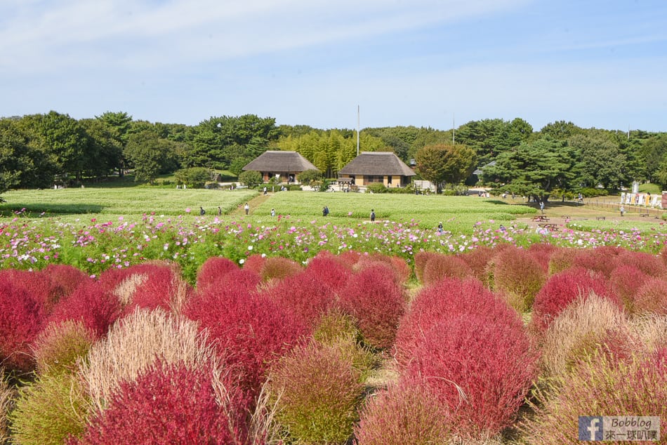 kokuei-showa-kinen-koen-16