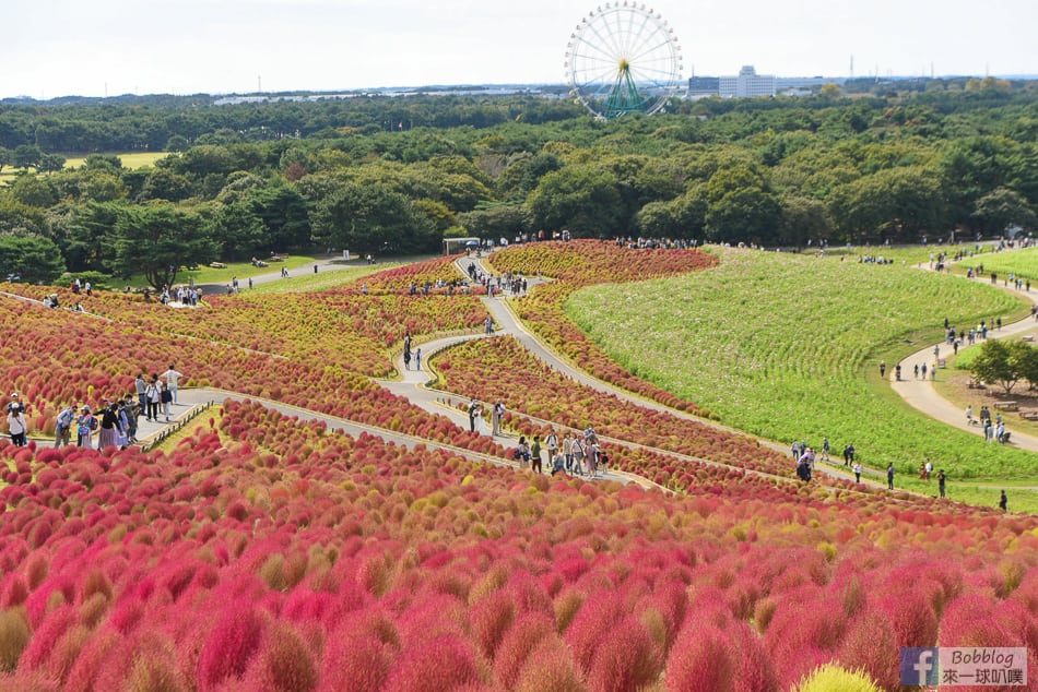 kokuei-showa-kinen-koen-30