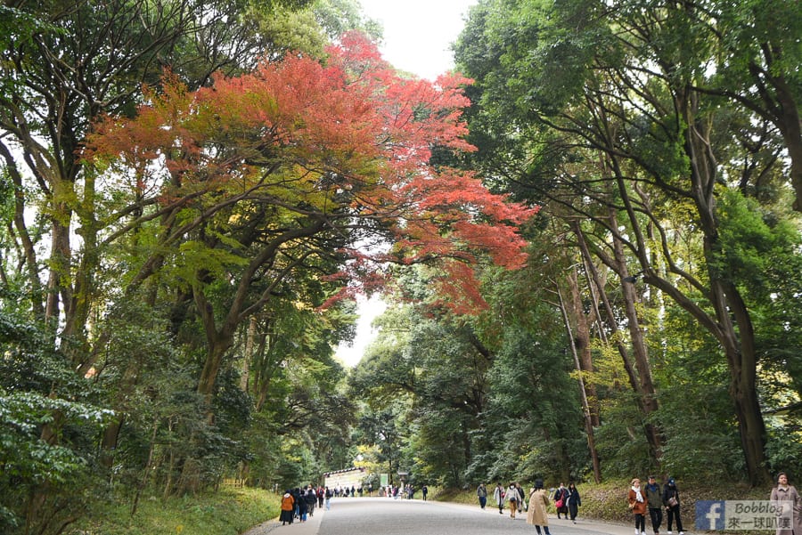 Meiji-Jingu-2