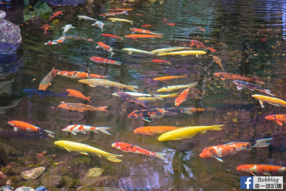 KAMAKURA-Hasedera-Temple-6