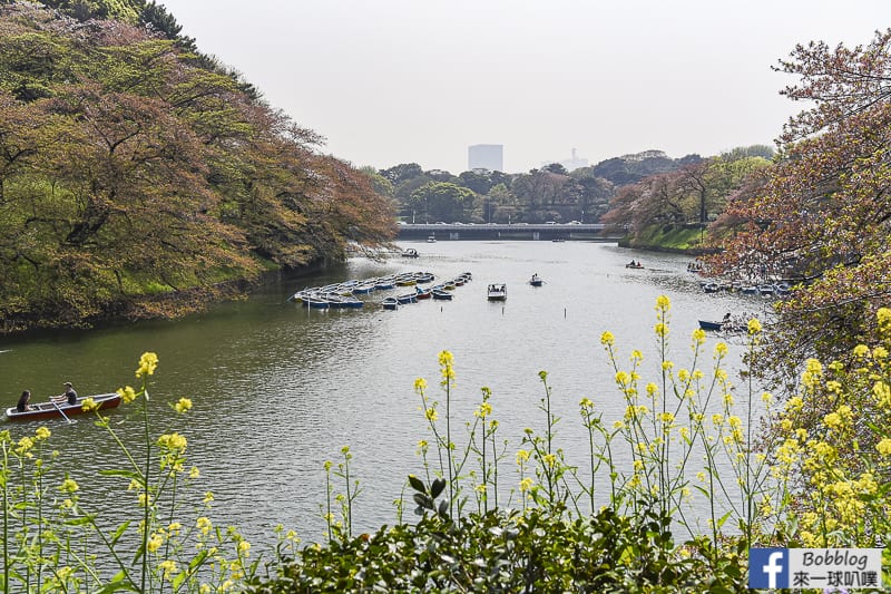 Chidorigafuchi Park boat 8