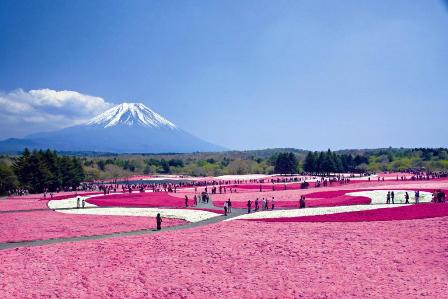 富士河口湖賞櫻景點推薦-河口湖北岸、新倉山淺間公園忠靈塔、富士芝櫻花祭、淺川溫泉街、根場