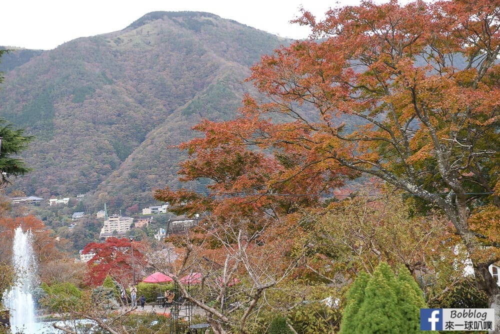 Hakone-Gora -park-8