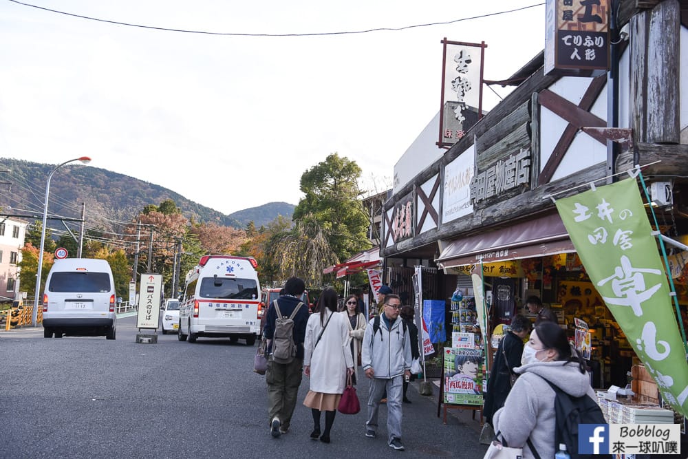 Hakone-heiwa-no-tori-go-to-gora-8