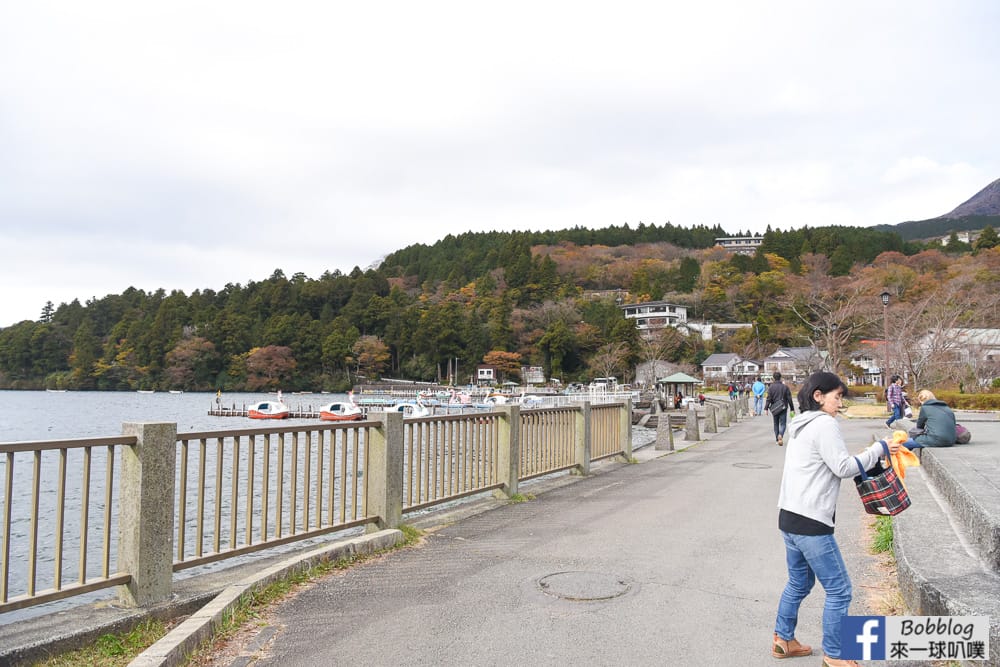 Hakone-heiwa-no-tori