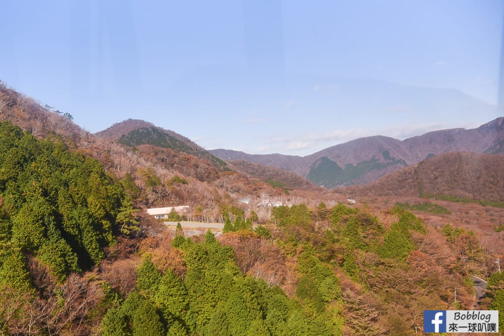 Hakone-ropeaway-14