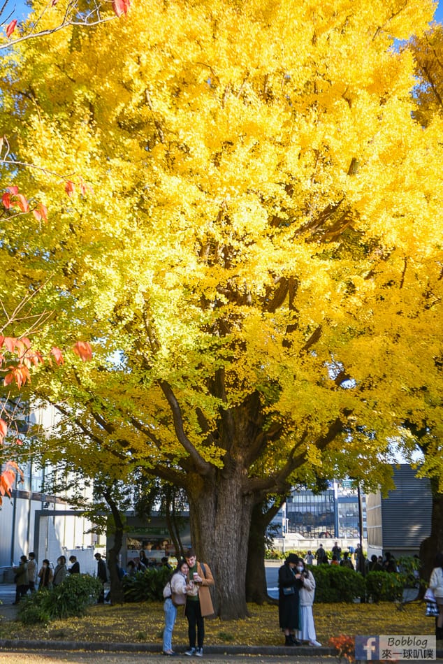 ueno-park-7