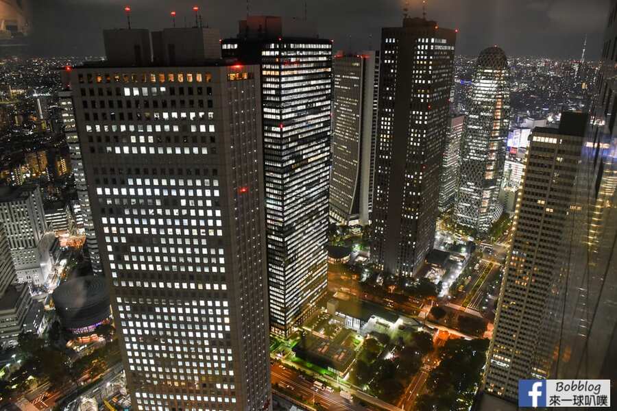 The-New-Tokyo-City-Hall-26