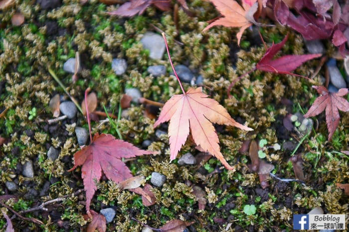 Kyu-Furukawa-Gardens-13