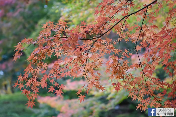 Kyu-Furukawa-Gardens-15