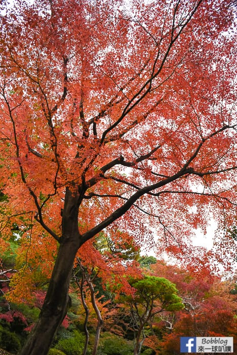 Kyu-Furukawa-Gardens-18