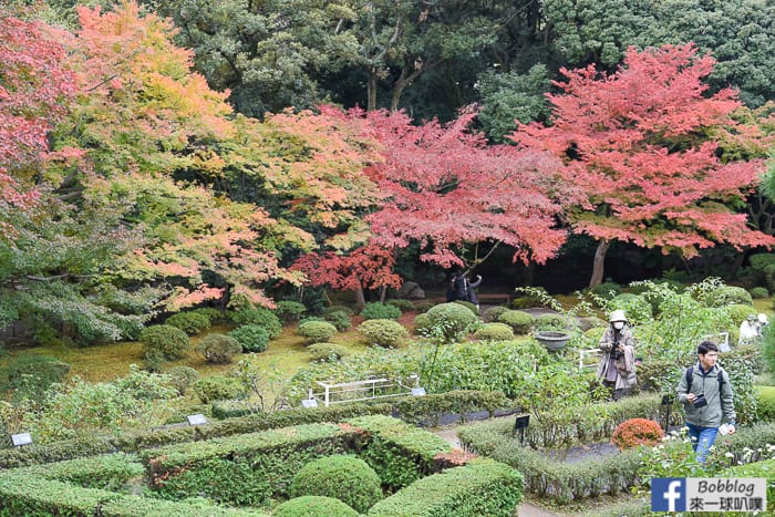 Kyu-Furukawa-Gardens-7