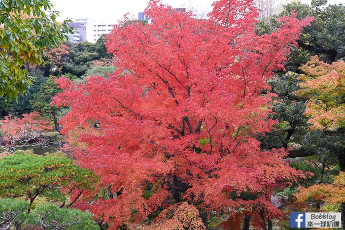 Kyu-Furukawa-Gardens-8