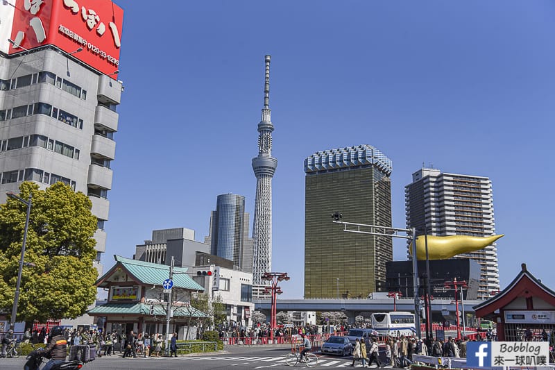 Asakusa sakura 2