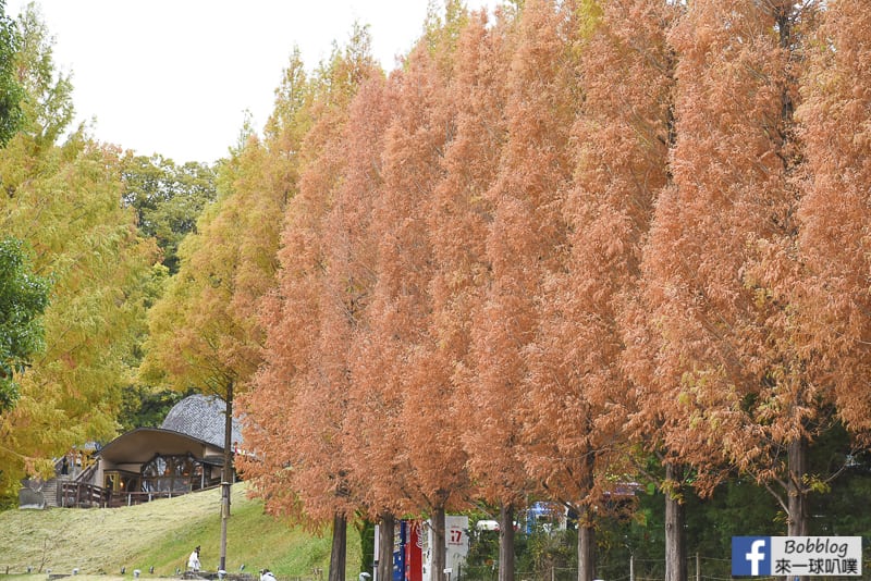 Akebono LULUMI PARK 2