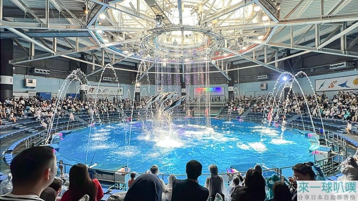 東京品川室內水族館 Maxell Aqua Park、精彩海豚表演、門票購買