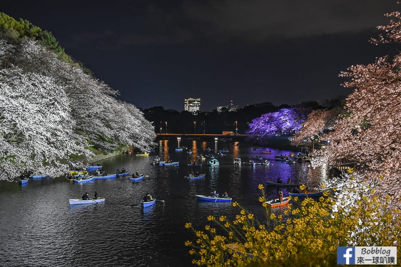 Tokyo chidorigafuchi night sakura 18