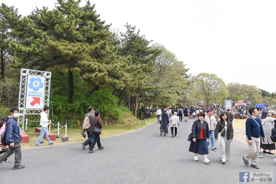 hitachi-seaside-park-19