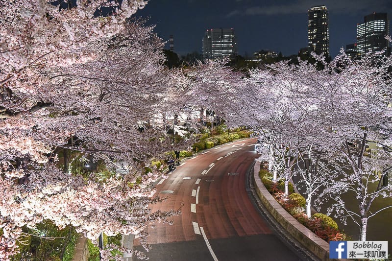 Midtown night sakura 13