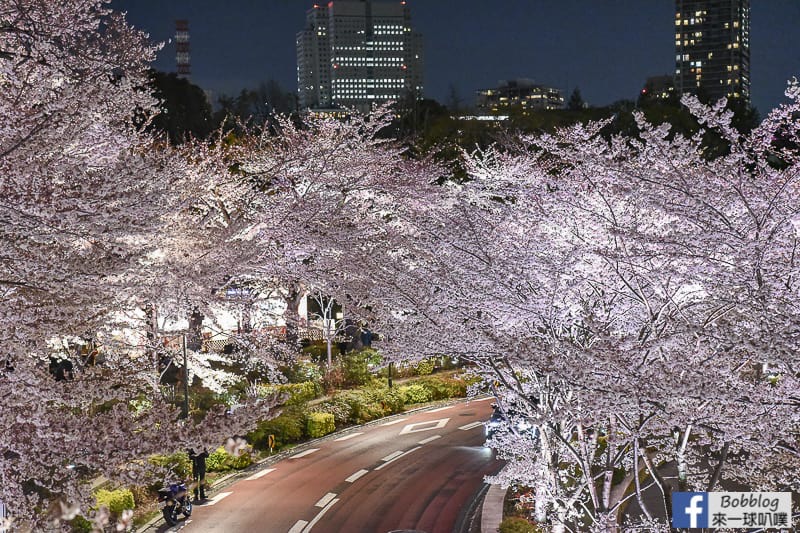 Midtown night sakura 14