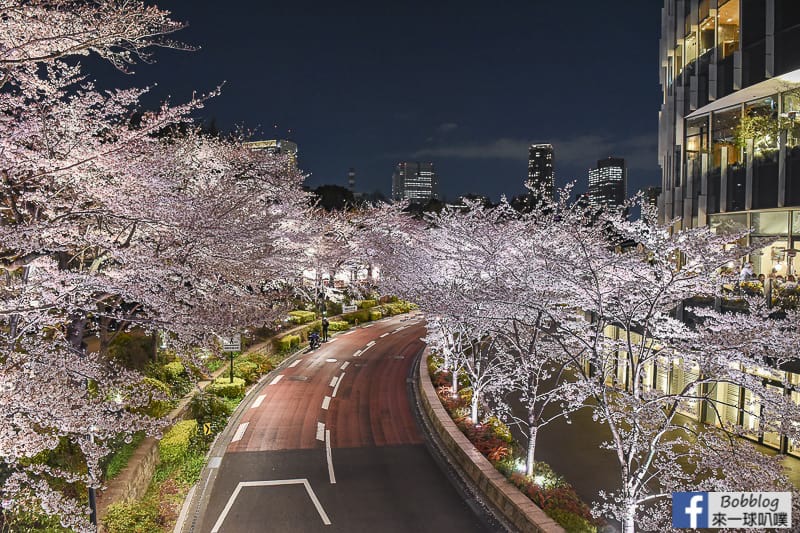 Midtown night sakura 16