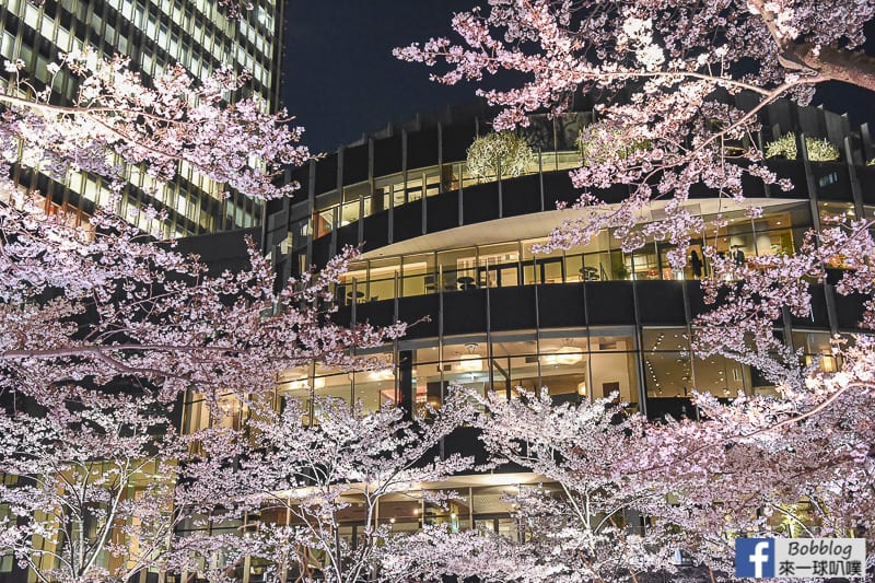 Midtown night sakura 26