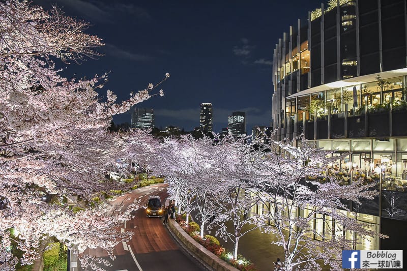 Midtown night sakura 17