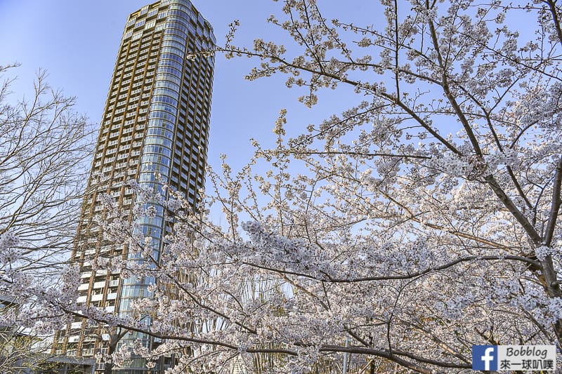 Midtown sakura 22