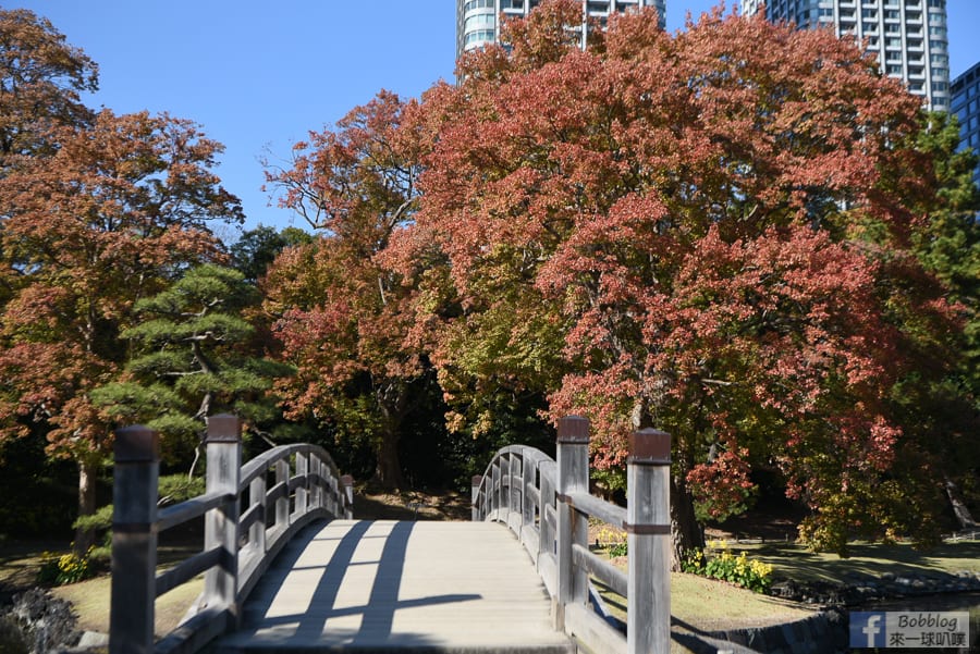 Hama-rikyu-Gardens-22