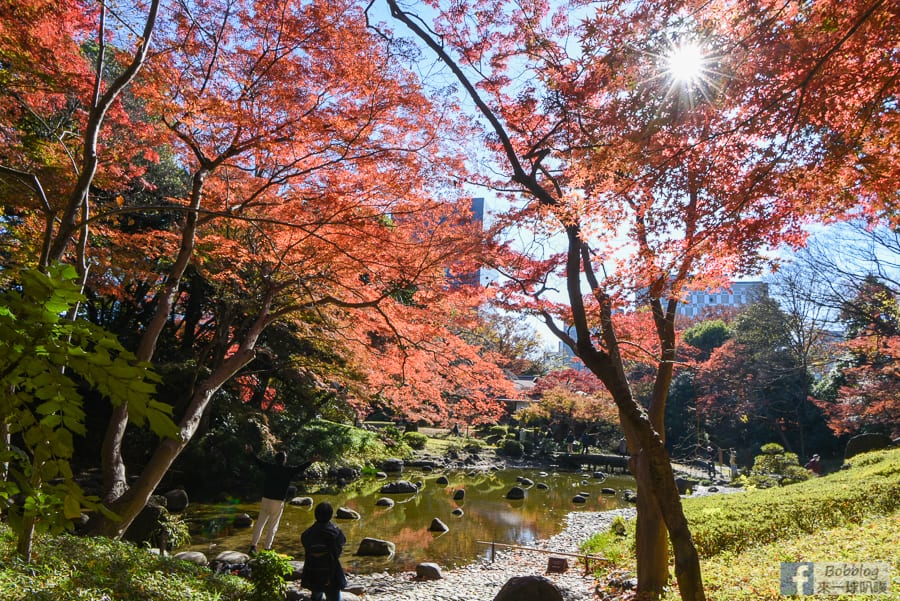 koishikawa-korakuen-garden-19