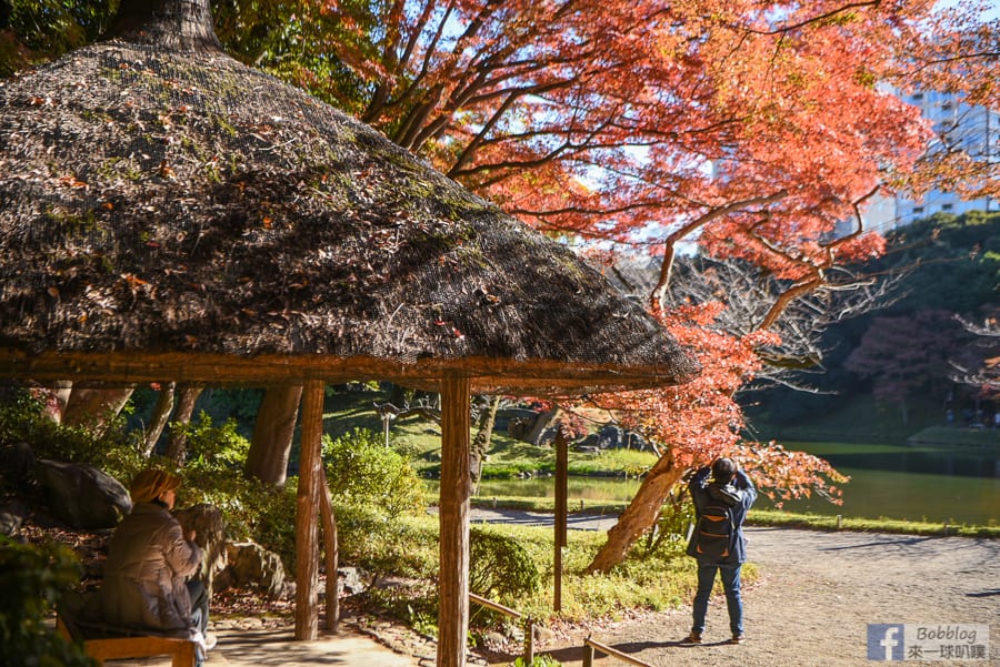 koishikawa-korakuen-garden-25