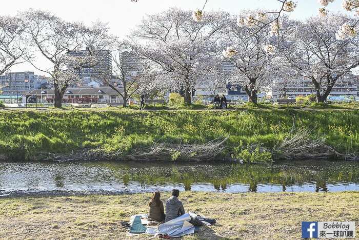 Saitama Kurome River Sakura 22