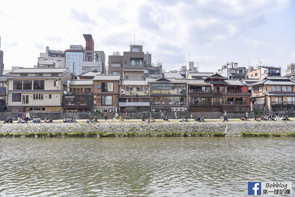 Kamogawa-sakura-10