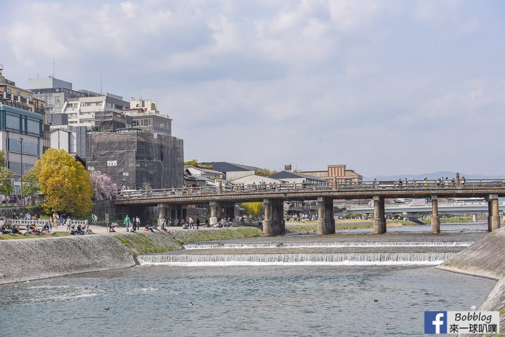 Kamogawa-sakura-20