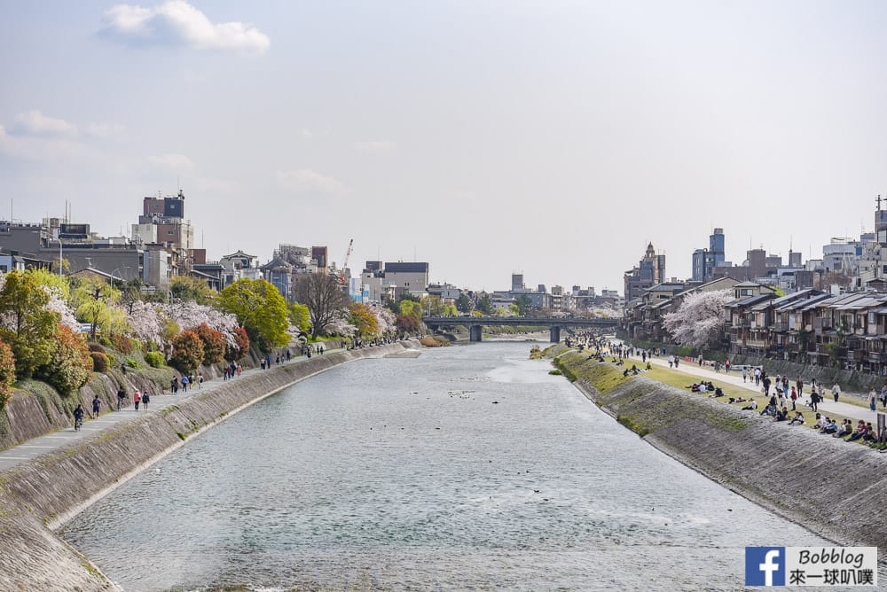 Kamogawa-sakura-23