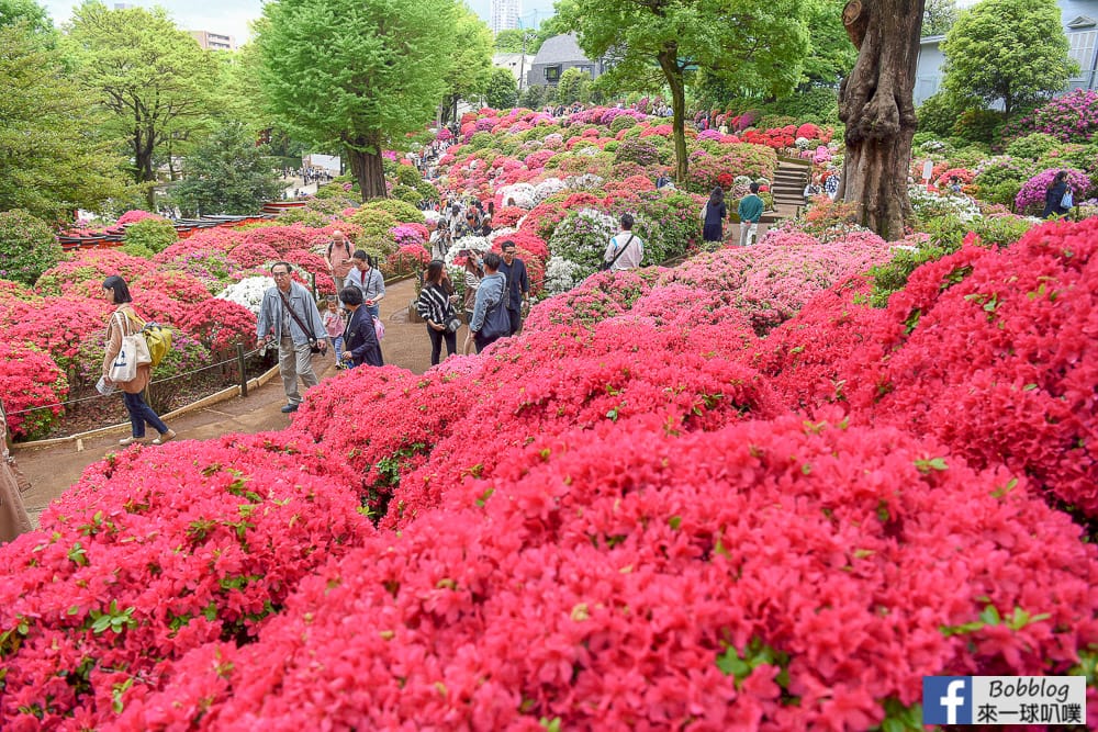 tokyo-Nezu-Shrine-43