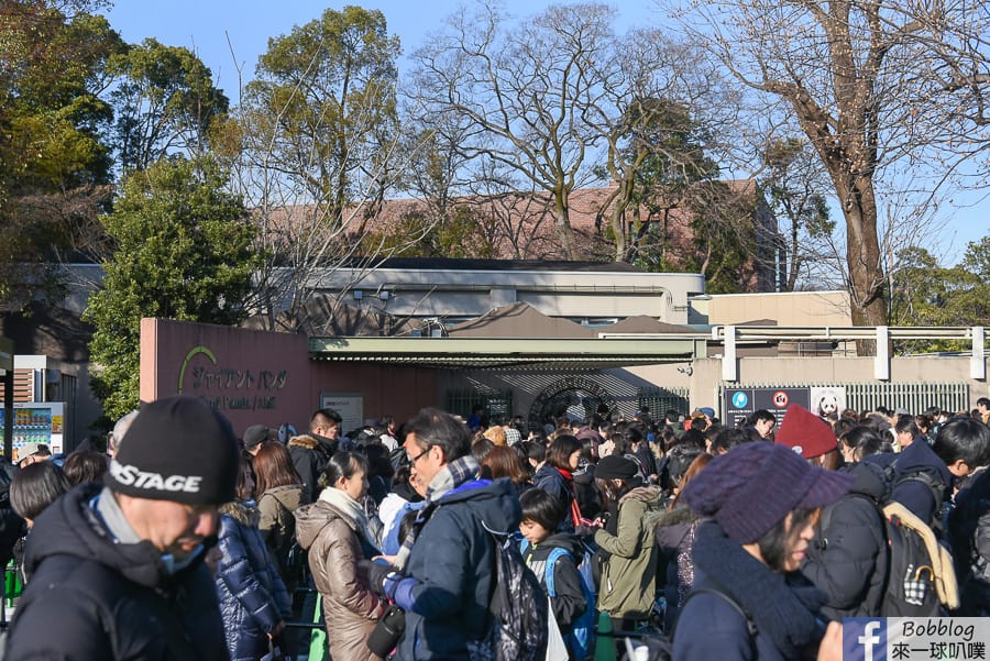 ueno-zoo-15