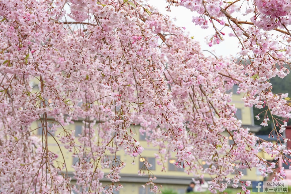 yamanashi-azagawa-onsen-town-22