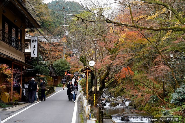 京都鴨川散步賞櫻、鴨川賞櫻行程、粉色枝垂櫻炸裂