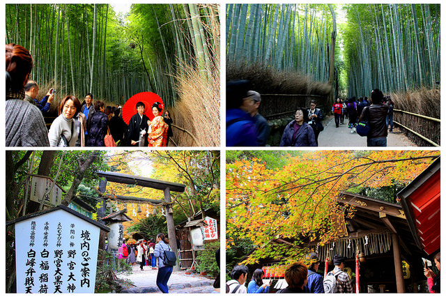 野宮神社